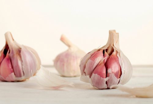 Garlic