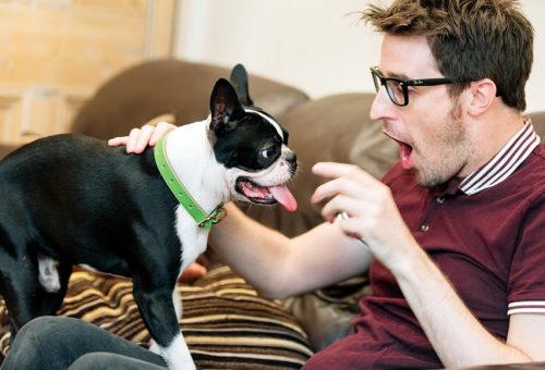 Patrick and Bow