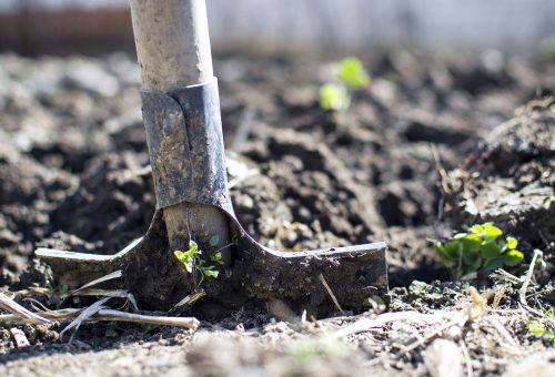 Spade in a garden