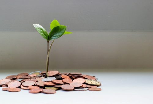 Budget 2021