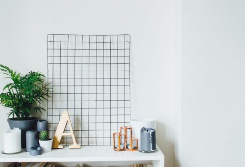 House Plants