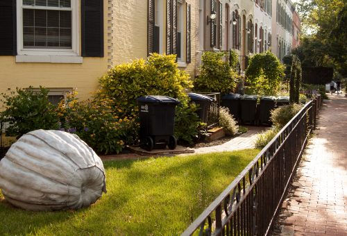 House Prices rise