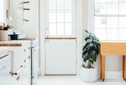 Bright room with a white door and potted plant