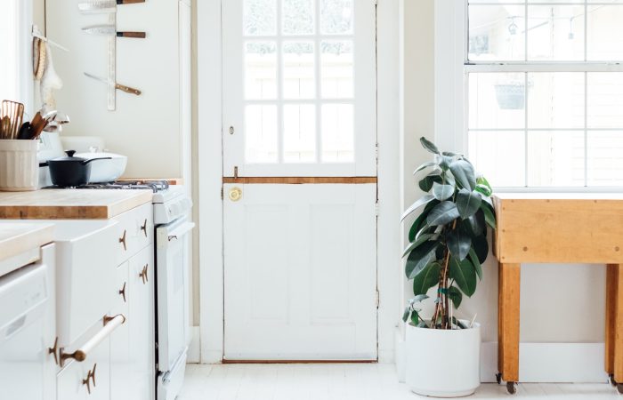 Bright room with a white door and potted plant