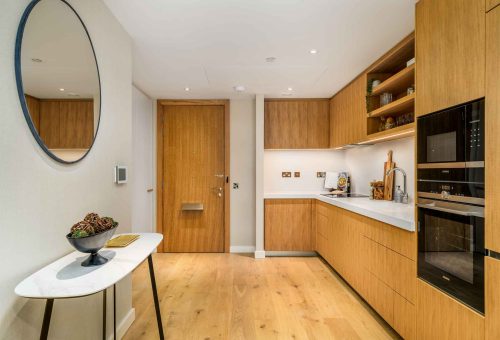 Modern kitchen with wooden cabinetry
